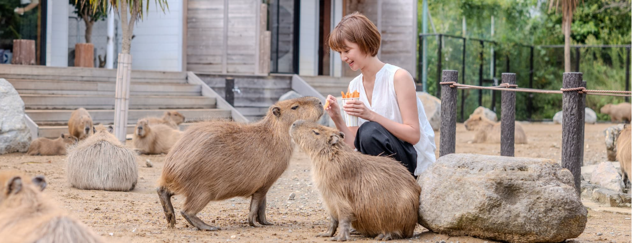 伊豆動物莊園